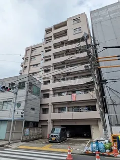 ツインドエルひぐらしの画像