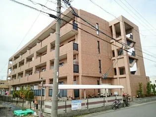 フリュイティア1の画像