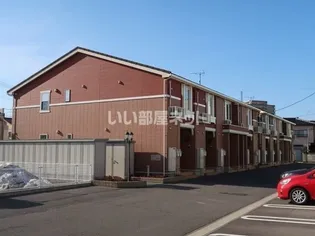 カサフェリスBの画像