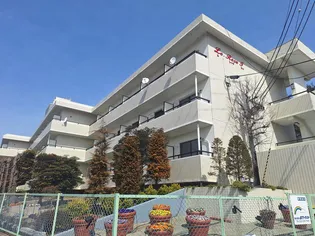 ル レーヴ アイの画像