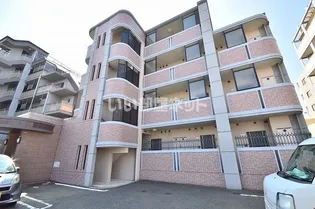 サンビオラの画像