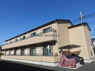 TーコンフィットBの画像