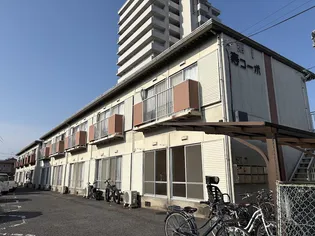 第1寿コーポの画像