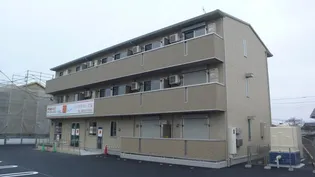 ピーノ スミレ Aの画像