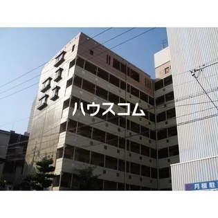 PIGEON VERTの画像