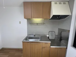 コーポイーストウッド【1階】のキッチン