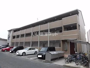 プリュスの画像