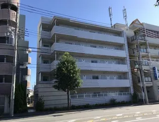 ロス シンコ ソラールの画像