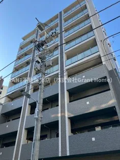 フェスタ元浅草の画像