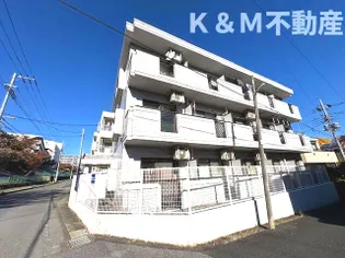 ジュネパレス柏第25の画像