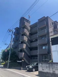 グレース岡本の画像