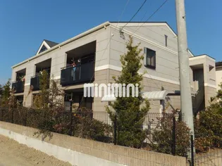 サンライトクロスの画像