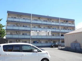 ソフィアライトの画像