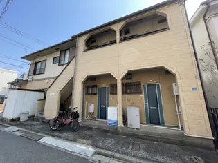 パインニードルの画像