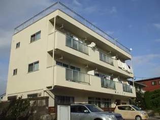 樋山ハイムの画像