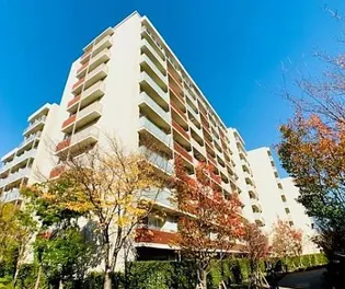 Brillia ist 三軒茶屋アイビーテラス【2階】の外観