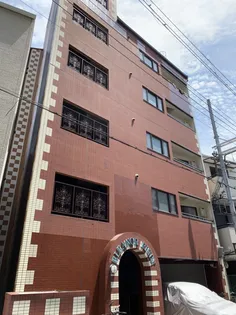 エリナーリグビーの画像