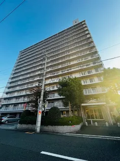 シェモア平野の画像