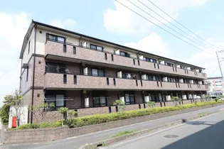埼玉県八潮市大字南川崎【アパート】の外観