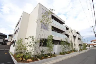 アドバンスの画像