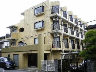 セントヒルズ橋本【4階】の外観