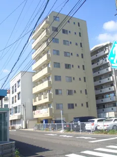 ルヴェ デュ ソレイユの画像