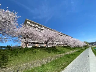 ルネ広島【3階】の外観