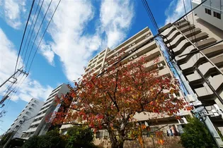 ニューガイアリルーム葛西駅南NO 20の画像