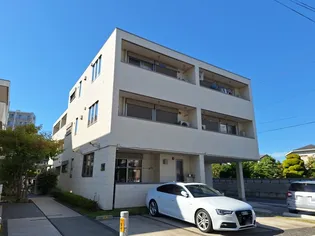 プリムローズの画像