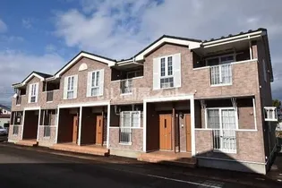 プラシードの画像