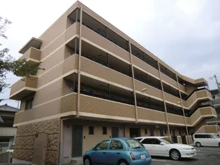 ティエリア豊田の画像