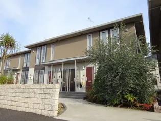 DANDELION Bの画像