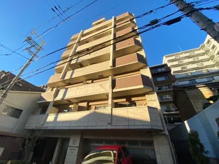 大阪府大阪市天王寺区上本町8【マンション】の外観