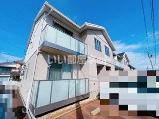 カーティアスCの画像