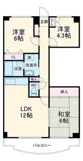 シャルマン5【6階】の間取り
