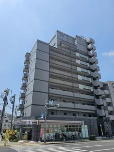 SASONの画像