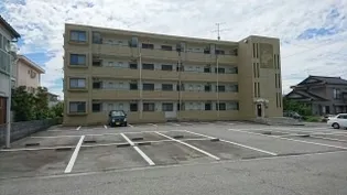 ジュビレ花椿の画像