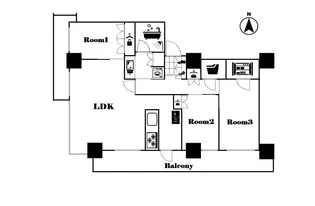 ブランズタワー・ウェリス心斎橋SOUTH【24階】の間取り