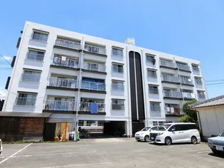 トピカF源藤東の画像