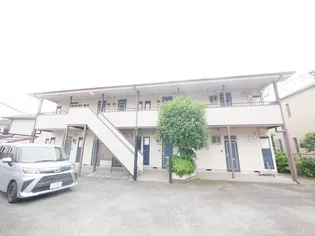 パークもみの木の画像