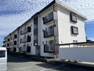 静岡県浜松市中央区北島町【マンション】の外観