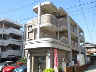 セリュー トーレの画像