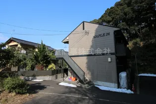 MAPLE24の画像