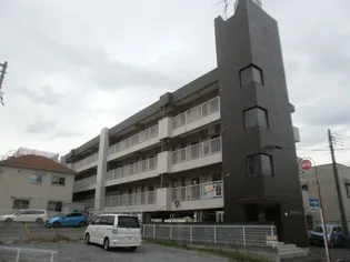 望月ハイツ【4階】の外観
