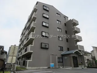 ルミエールIIの画像