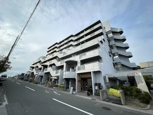 ハイムアゼーリア【7階】の外観