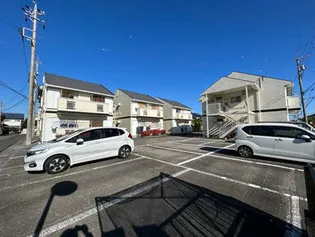 サンプラントの画像