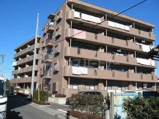 アスピシャスの画像