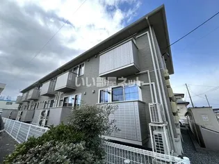 グランドラインの画像