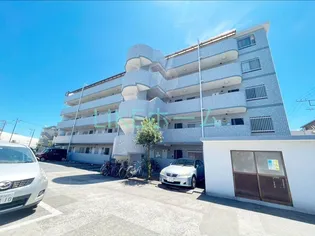 アフィニス原木の画像